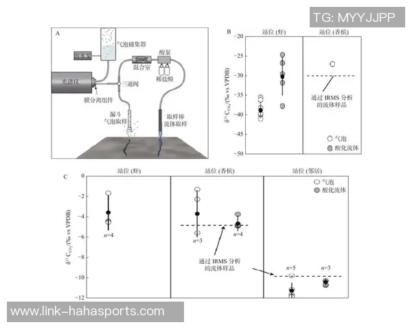 足球原位的魅力与技术解析如何提升球员在比赛中的表现与战术运用